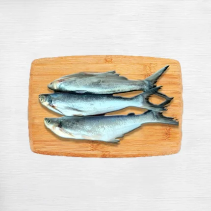 Fresh-Bachwa-Fish-1Kg
