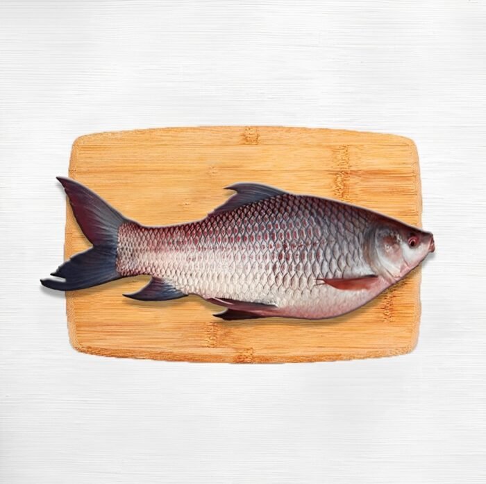 Chinese Rohu Rohu Fish 2.5 KG Plus - Fish Net